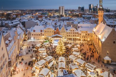 タリン日帰りツアー