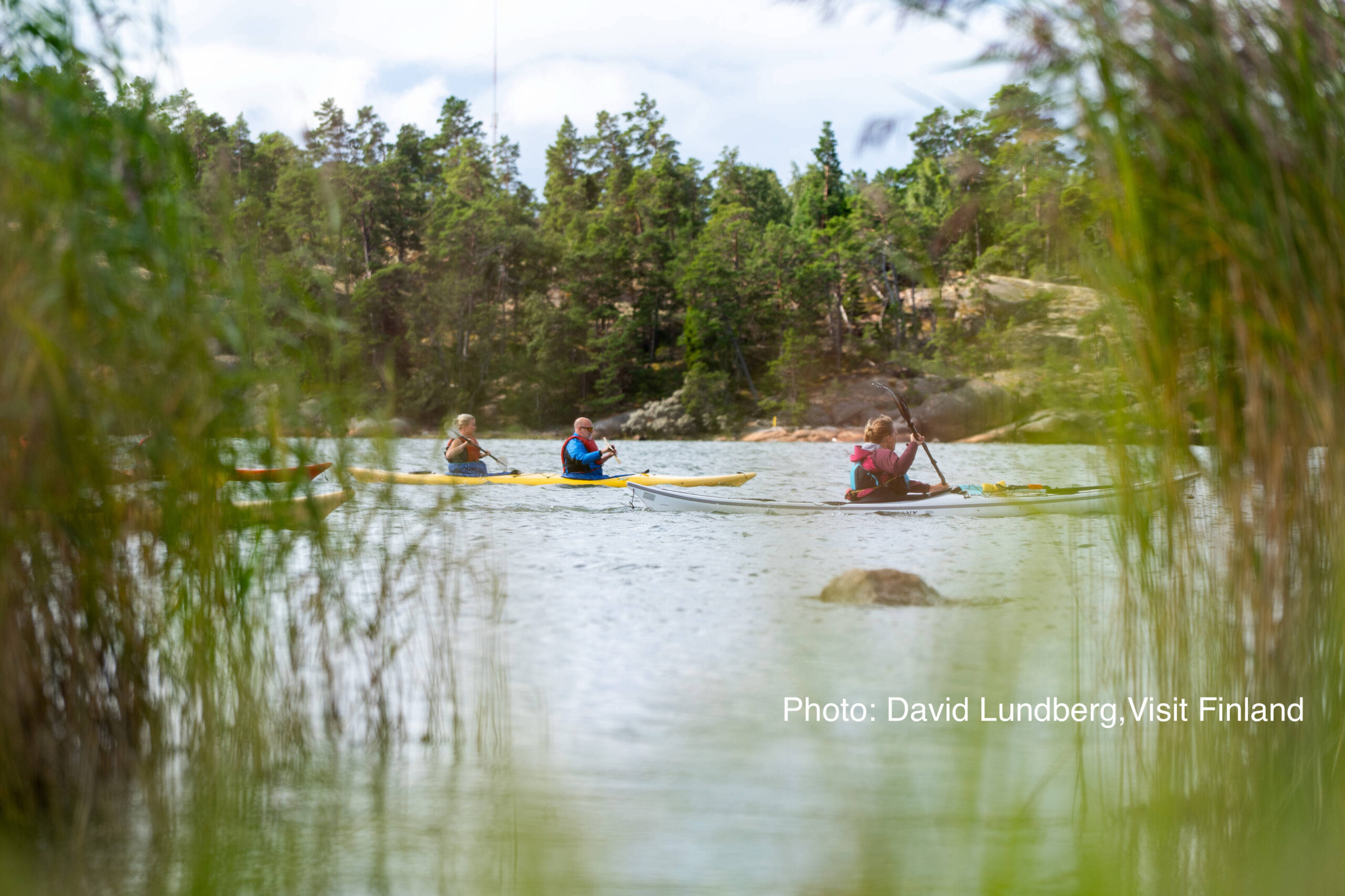 People enjoying forest excursion in Finland